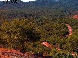 PARAJE DE LOS PINARES - . 