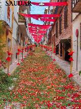 12. CORPUS CHRISTI (Variable) - . 