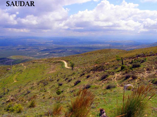 RUTA DE SENDERISMO EL POCICO - RUTA DE SENDERISMO EL POCICO. 