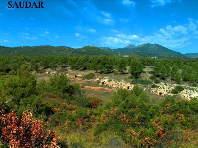 PARAJE DE LOS PINARES - PARAJE DE LOS PINARES. 