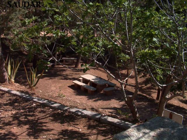 PARAJE DE LOS PINARES - PARAJE DE LOS PINARES. 