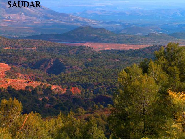 PARAJE DE LOS PINARES - PARAJE DE LOS PINARES. 