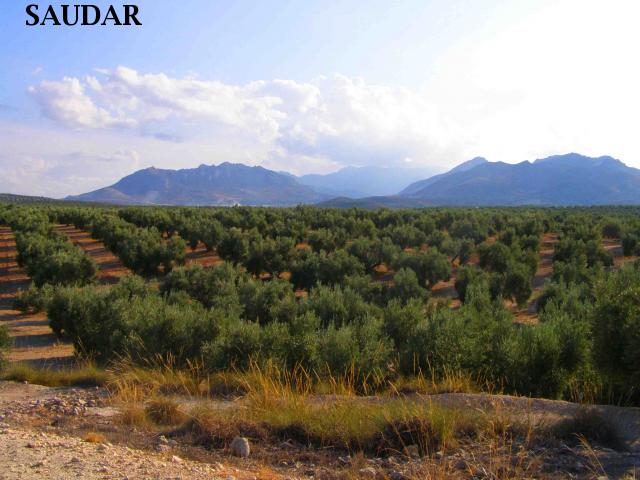 VA VERDE "EL PASO" O CAMINO REAL - VA VERDE "EL PASO" O CAMINO REAL. 