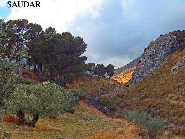 PARAJE "EL PORTILLO" Y VIA INTERNACIONAL DE SENDERISMO GR-7 - PARAJE "EL PORTILLO" Y VIA INTERNACIONAL DE SENDERISMO GR-7. 