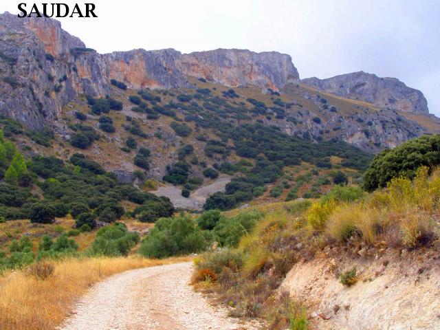 PARAJE "EL PORTILLO" Y VIA INTERNACIONAL DE SENDERISMO GR-7 - PARAJE "EL PORTILLO" Y VIA INTERNACIONAL DE SENDERISMO GR-7. 