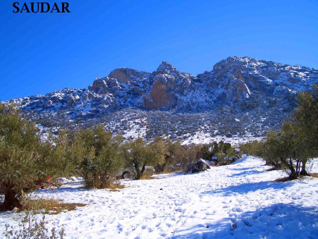 PARAJE DEL PILAR DE LA DEHESA Y SIERRA DE MIRAMONTES - PARAJE DEL PILAR DE LA DEHESA Y SIERRA DE MIRAMONTES. 