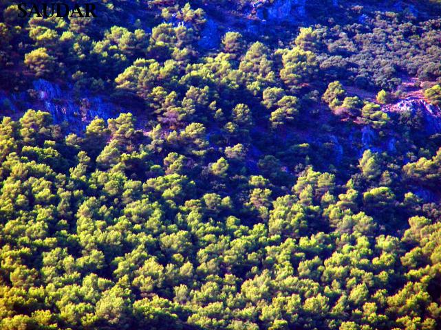 SIERRAS DE LA CRUZ, EL VALLE Y MATARRIBAZOS - SIERRAS DE LA CRUZ, EL VALLE Y MATARRIBAZOS. 