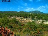 PARAJE DE LOS PINARES - . 
