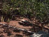 PARAJE DE LOS PINARES - . 