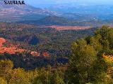 PARAJE DE LOS PINARES - . 